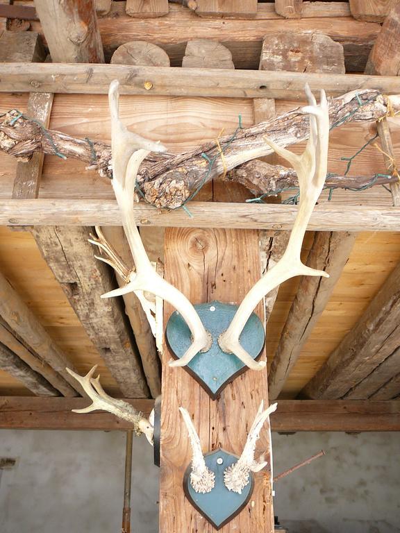 Winzerhof Unter Der Yburg Appartamento *