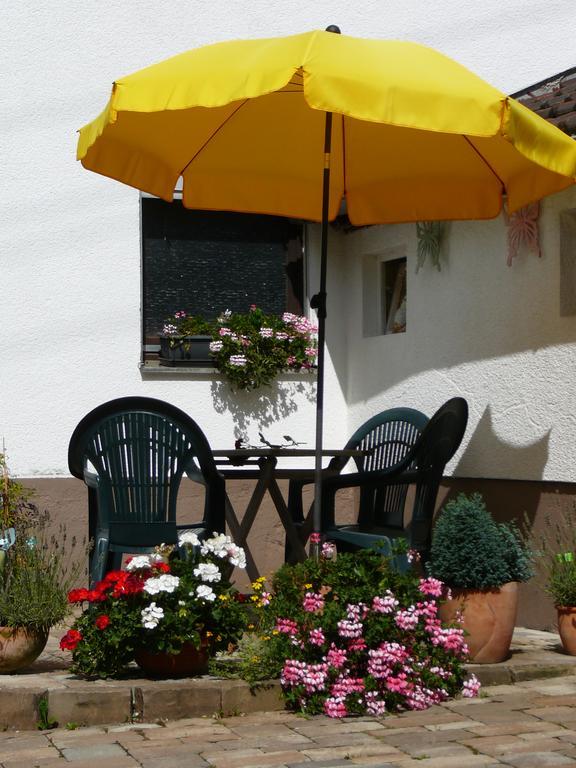 Winzerhof Unter Der Yburg Apartment Baden-Baden